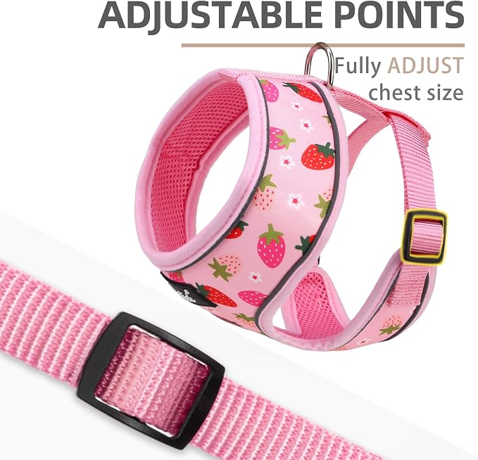 PUPTECK Soft Mesh Dog Harness and Leash Set Pet Puppy Cat Comfort Padded Vest No Pull Harnesses, Strawberry Pink, M