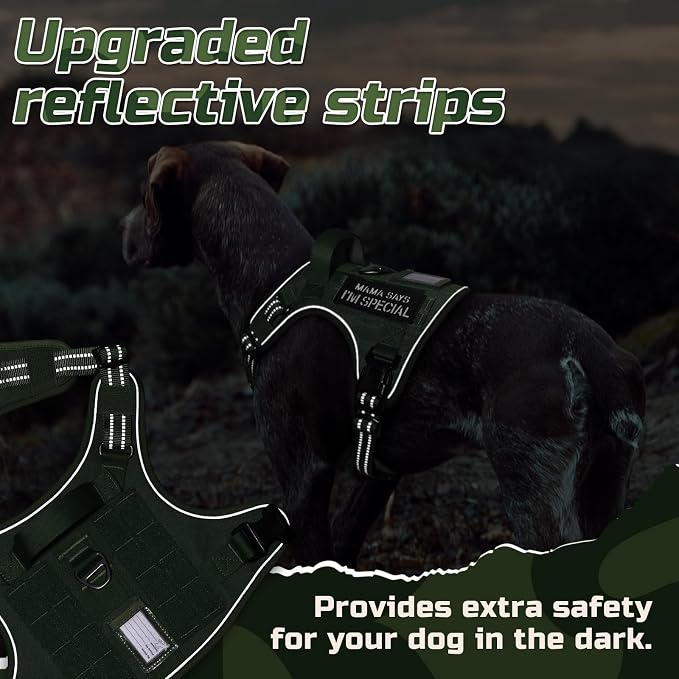rabbitgoo Tactical Dog Harness for X-Large, No Pull Military Service Vest | Molle & Handle, Heavy Duty, Adjustable, Reflective Straps, Easy Control for Training Walking, Green, X-Large