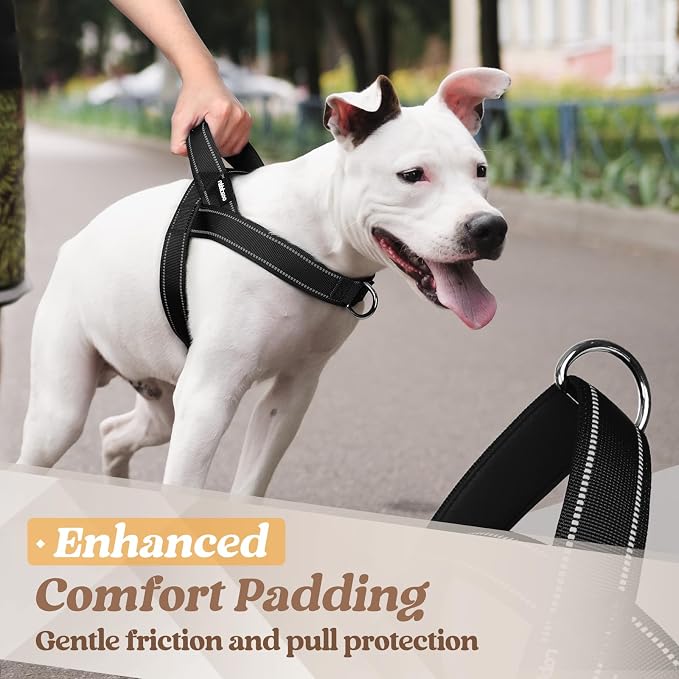 rabbitgoo Dog Harness No Pull, Quick Fit for Medium Sized Dog, Reflective | Chest Adjustable Pet Vest with Soft Padded Handle, No Choke Escape Proof for Walking Training, Black M