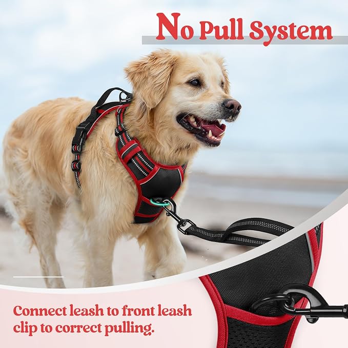 rabbitgoo Dog Harness, No Pull for Large Dogs with 2 Leash Clips, Pet Vest | No Choke with Handle, Adjustable Soft Padded, Reflective, Easy Control for Walking, Black & Red, X-Large