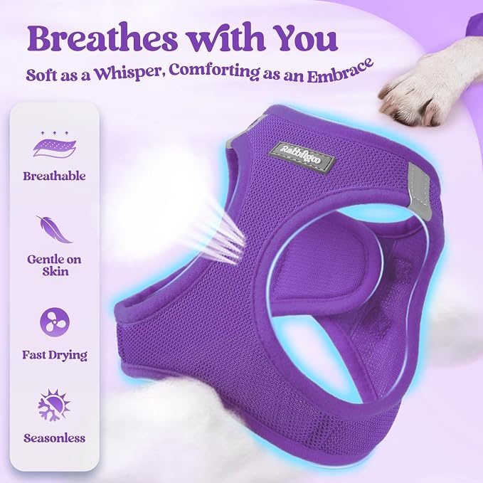 rabbitgoo Dog Harness Small Sized and Leash Set, Step-in Puppy Pet Vest | Light, Soft, Breathable Air Mesh, Easy on and Remove with Hook & Loop, Secure Reflective for Walking, Purple XXXS