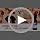 Collagen for Dog Liquid - Support Hip Joint Mobility, Skin Coat, Bone 60ML