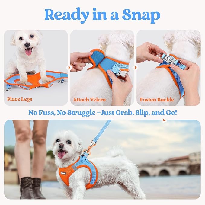 rabbitgoo Dog Harness Small Sized and Leash Set, Step-in Puppy Pet Vest | Light, Soft, Breathable Air Mesh, Easy on and Remove with Hook & Loop, Secure Reflective for Walking, Blue & Orange S