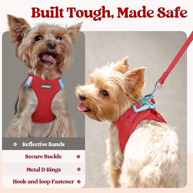 rabbitgoo Dog Harness Medium Sized and Leash Set, Step-in Puppy Pet Vest | Light, Soft, Breathable Air Mesh, Easy on and Remove with Hook & Loop, Secure Reflective for Walking, Red XL