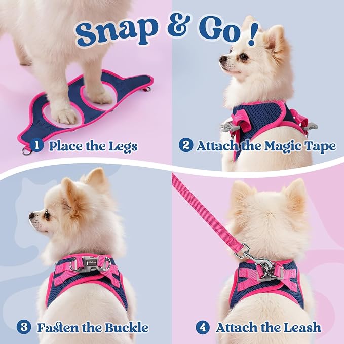 rabbitgoo Dog Harness Small Sized and Leash Set, Step in Soft Vest | Breathable Mesh, Easy Wear with Hook & Loop, Light and Reflective for Walking, Multi-colored, Navy Blue & Rose Red, XS