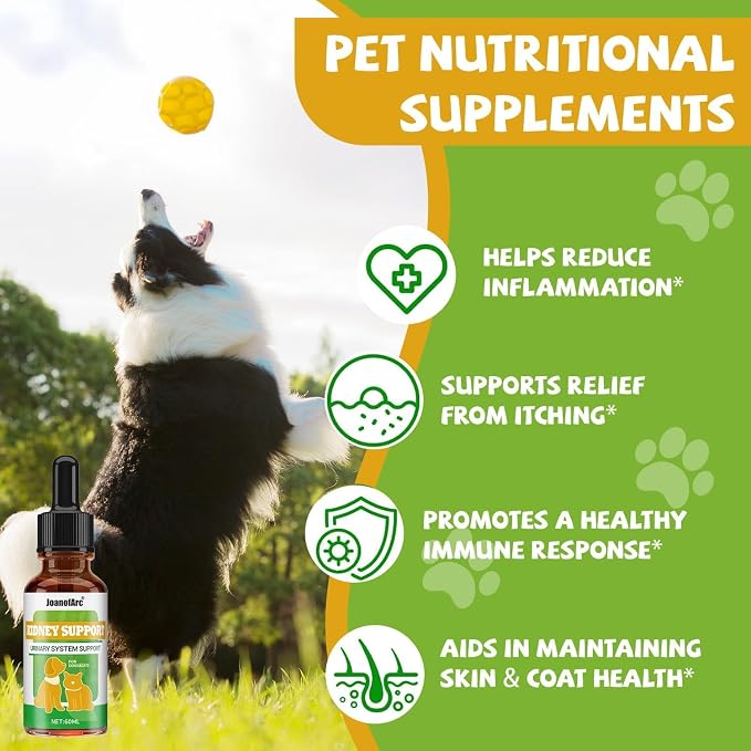 Dog Multivitamin Liquid Drops (60ml) – Multivitamins for Indoor Cats – Vitamin C, Vitamin D & B1, Dog Health Supplements for Skin Care, Joints & Hips