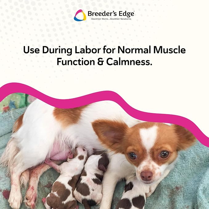 Breeder's Edge Oral Cal Plus Gel for Dogs & Cats, 3-Calcium Support, 15ml