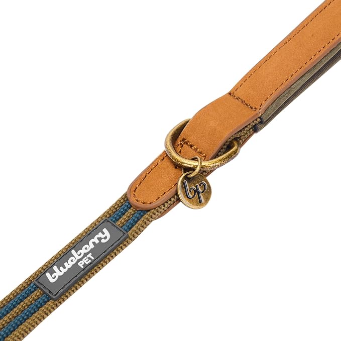 Blueberry Pet Polyester Fabric Webbing and Soft Genuine Leather Dog Leash with Soft & Comfortable Handle, 4 ft x 3/4", Navy and Olive, Leashes for Dogs