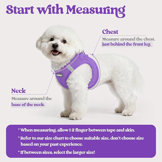 rabbitgoo Dog Harness Small Sized and Leash Set, Step-in Puppy Pet Vest | Light, Soft, Breathable Air Mesh, Easy on and Remove with Hook & Loop, Secure Reflective for Walking, Purple XS