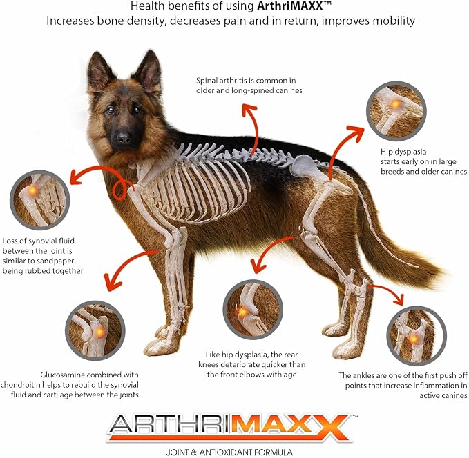 ArthriMAXX Hip & Joint Support Soft Chews for Dogs, Chicken, 90 Count
