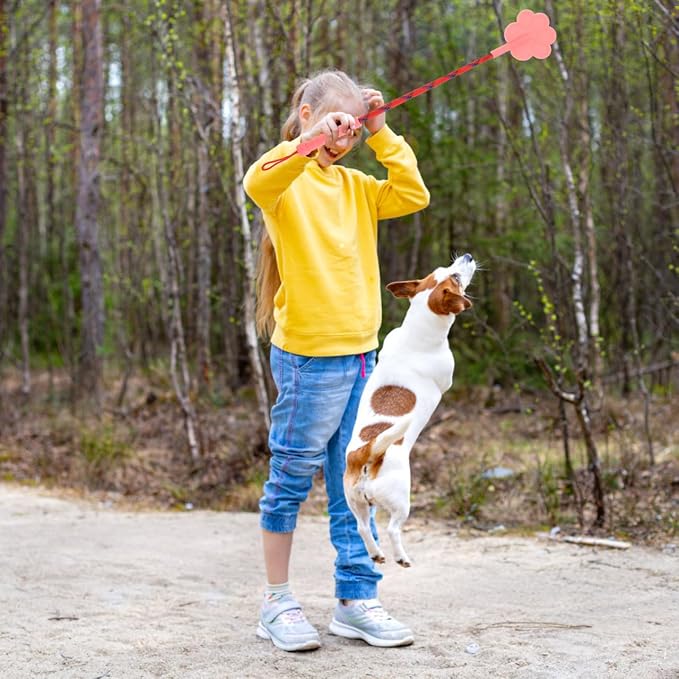 Dog Training Paw Shape Stick Tool, 2 Pack