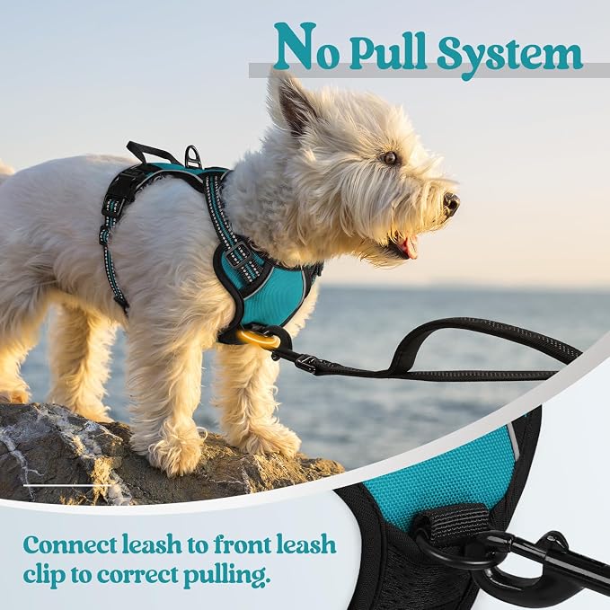rabbitgoo Dog Harness No Pull with 2 Leash Clips, Adjustable Soft Padded, Reflective Oxford No Choke Pet Vest with Easy Control Handle for Puppy, Teal, XS | No Choke with Handle, Adjustable Soft Padded, Reflective, Easy Control for Walking, Teal, X-Small