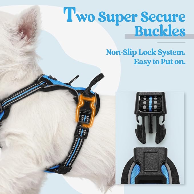 rabbitgoo Dog Harness, No Pull for Small Dogs with 2 Leash Clips, Pet Vest | No Choke with Handle, Adjustable Soft Padded, Reflective, Easy Control for Walking, Blue, X-Small