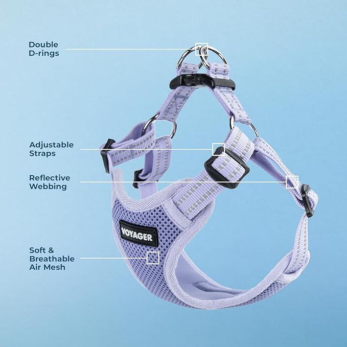 Voyager Step-in Flex Adjustable Dog Harness - Lavender, Small | 15 - 18" in Chest, Fully Adjustable, Reflective Bands, All Weather Breathable Air Mesh, Lightweight, Fast Drying