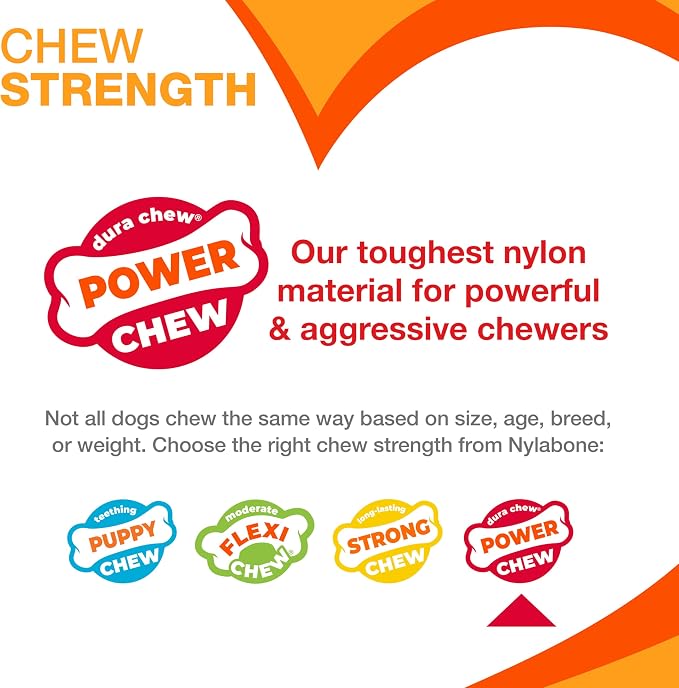 Nylabone Textured Dental Bone Power Chew Toy for Dogs, Dog Toys for Aggressive Chewers, Flavor Medley Flavor, X-Large - 50+ lbs, 1 Count