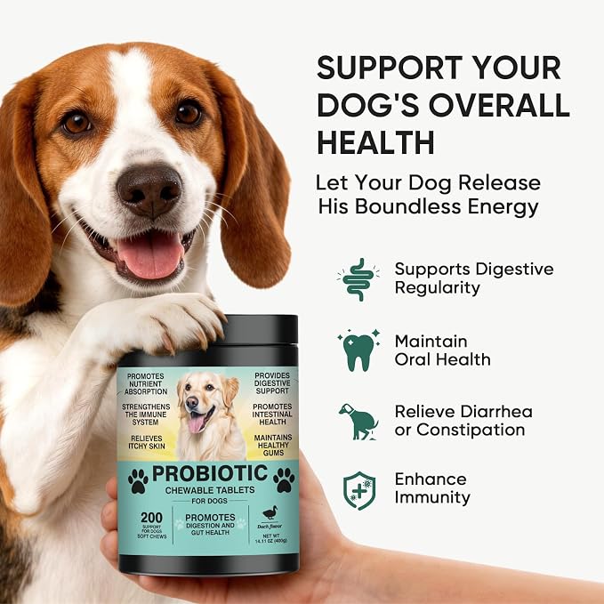 Probiotics for Dogs Gut Digestive Health Probiotic Chews 200 Ct Duck