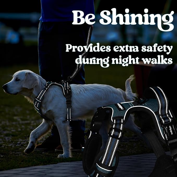 rabbitgoo Dog Harness for Large, Updated Easy On & Off with 3 Buckles | No Pull No Choke, Walking with 2 Clips and Handle, Adjustable Soft Reflective, Blue Coral, X-large