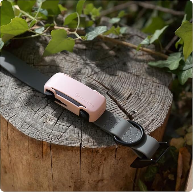 Tractive GPS Dog Tracker (2025 Release) Real-time Pet Location Tracker | Health & Wellness Alerts | Virtual Fence for Dogs | Bark Monitoring (Black w/Pink Cover)