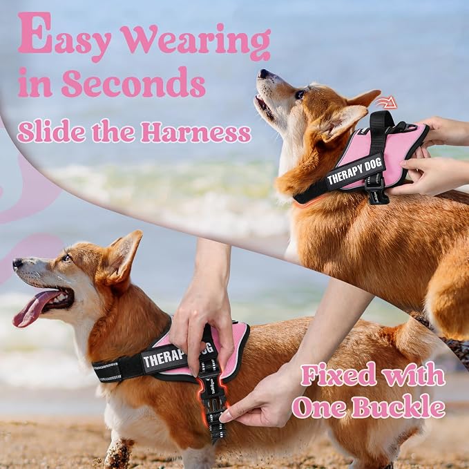 rabbitgoo No Pull No Choke Pet Vest, Adjustable Pet Harness with Molle | Large Sized Dog Harness, Reflective, Easy Wearing with One Buckle for Walking, Training, Pink, L