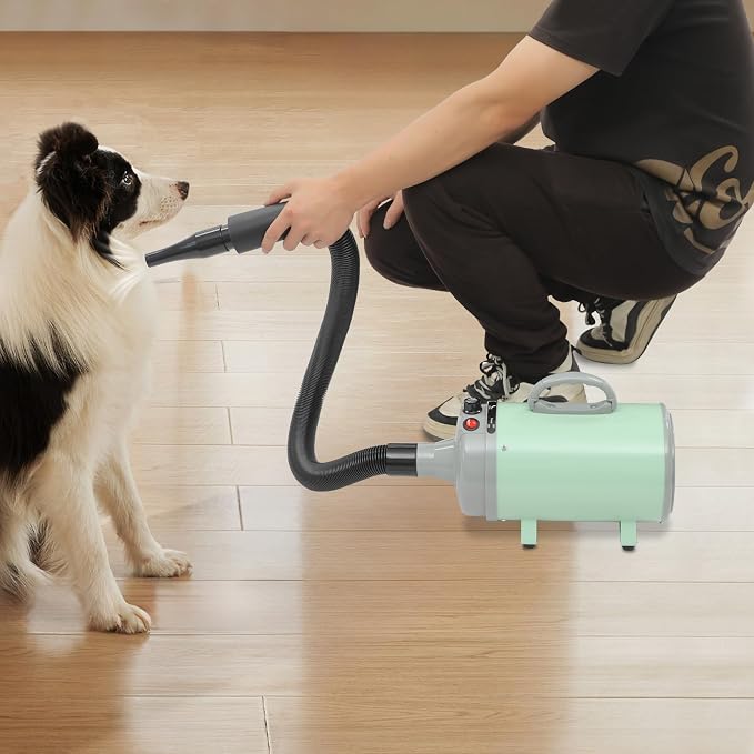 Dog Dryer, Dog Dryer for Pet Grooming, 2200W Pet Grooming High Velocity Force Blower with 4 Nozzles, Adjustable Speed and Temperature Control High Velocity Pet Blow Dryer (Green)