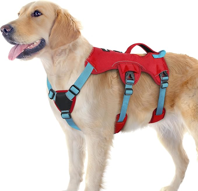 rabbitgoo Escape Proof Dog Harness for Large, No Pull with Lift Handle | No Escape, Full Soft Padded, Reflective Adjustable Vest, Leash Clip for Walking Hiking Training, Sky Blue & Red, Large