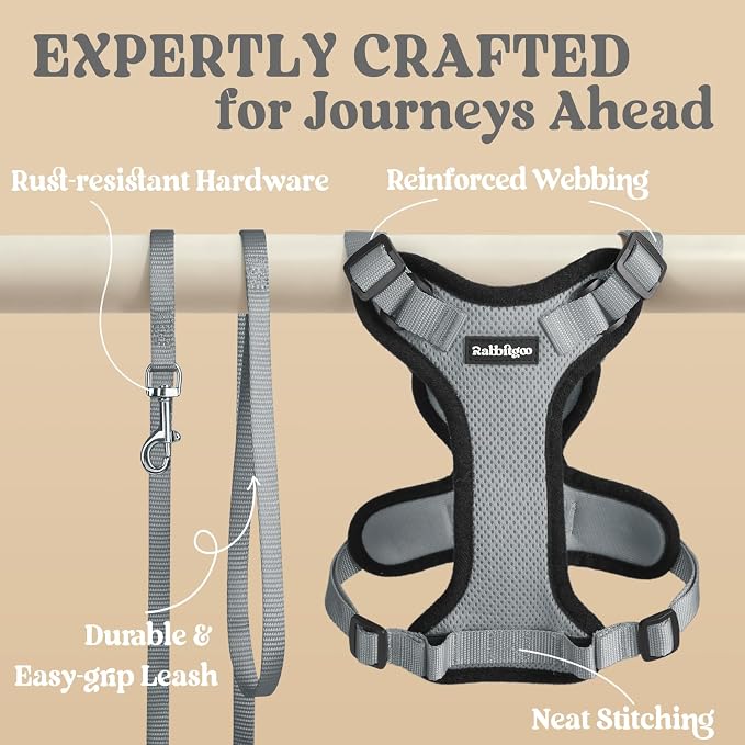 rabbitgoo Cat Harness and Leash Set, Escape Proof Vest, Grey | Soft Breathable Mesh, Easy Adjustable Fit, Snap Buckles, Sturdy Clip, Reflective Strips, for Kittens & Small Cats Walks, Xxs