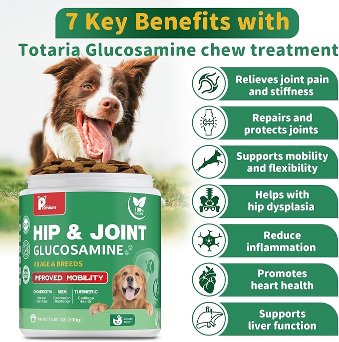 Hip and Joint Supplement for Dogs, Glucosamine Treats Chews with Chondroitin, MSM, Turmeric - Support Joint Pain Relief, Mobility, Reduce Occasional Discomfort, Fit All Ages Breeds, 150 Soft Chew
