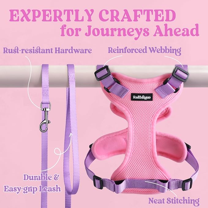 rabbitgoo Cat Harness and Leash Set, Escape Proof Vest, Pink & Light Purple | Soft Breathable Mesh, Easy Adjustable Fit, Snap Buckles, Sturdy Clip, Reflective Strips, for Average Cats Walks, S