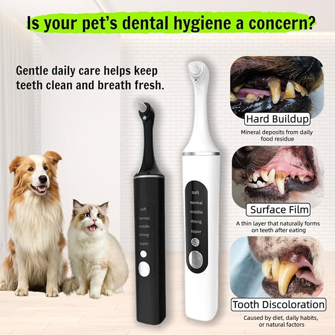Dog Teeth Cleaning Tool, Electric Dog Toothbrush for Small Medium Large Dogs & Cats, 5 Speeds & 6 Heads Rechargeable Pet Dental Polisher with LED Light, Gentle Oral Hygiene Kit for Home Use (White)