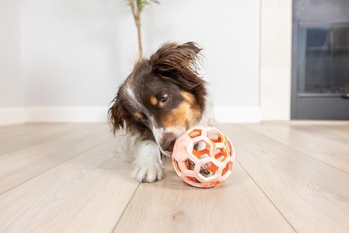 Chuckit! Holee Roller Dog Treat Puzzle Ball, Medium (2.5"), Orange – Interactive Treat & Chew Puzzle Toy for Dogs 20–60 lb – Durable Rubber Fetch Ball for Mental Stimulation – Pack of 1