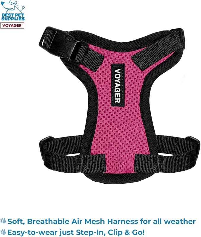Best Pet Supplies Voyager Step-in Lock Pet Harness w Reflective Pet Leash Combo Set with Neoprene Handle 5ft - Supports Small, Medium and Large Breed Puppies/Cats - Fuchsia/Black Trim, XXXS