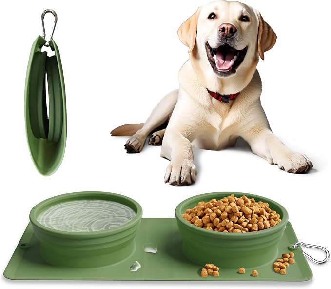 Collapsible Portable 2-in-1 Dog Bowl with Carabiner, Green