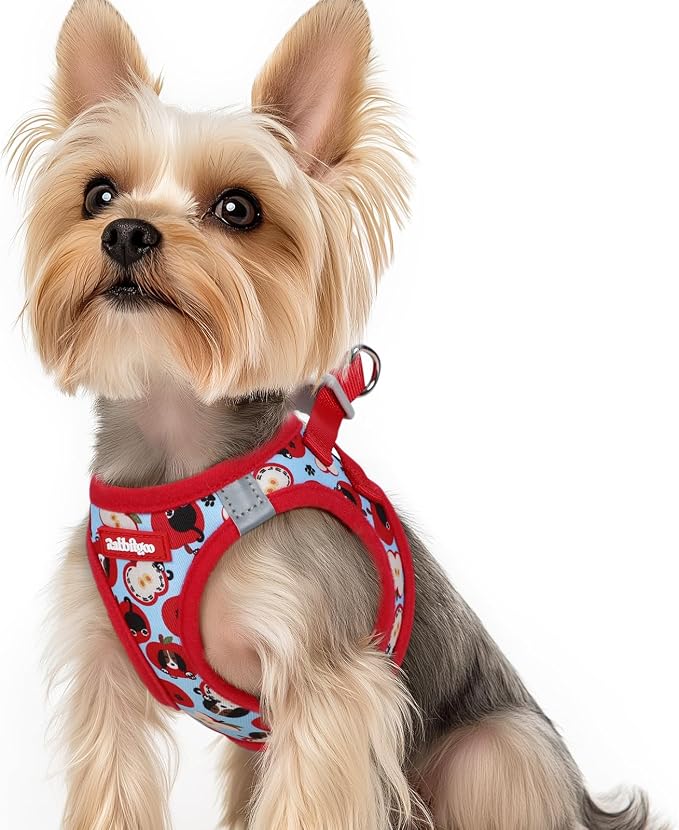 rabbitgoo Step-in Small Dog Harness, Puppy Vest for Small Sized Pet | Easy Put on and off, Lightweight, Soft, Breathable Quick-Dry Air Mesh for Comfortable Secure Walking, Apple Pups XS