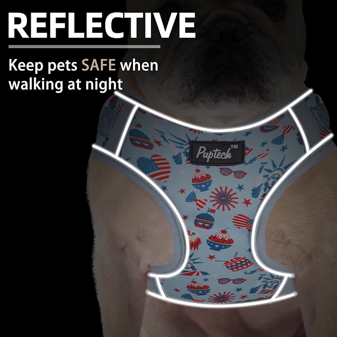 PUPTECK Small Dog Harness and Leash Set, No Pull Adjustable Puppy Cat Harness, Reflective Soft Mesh Pet Vest Small Sized, American Style, S