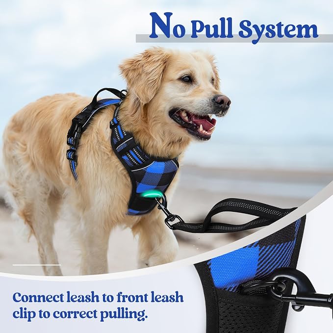 rabbitgoo Dog Harness, No Pull for Large Dogs with 2 Leash Clips, Pet Vest | No Choke with Handle, Adjustable Soft Padded, Reflective, Easy Control for Walking, Blue Plaid, X-Large