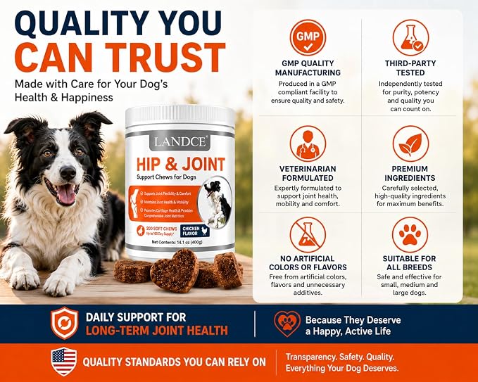 Hip and Joint Supplement for Dogs Glucosamine Chondroitin MSM Chews