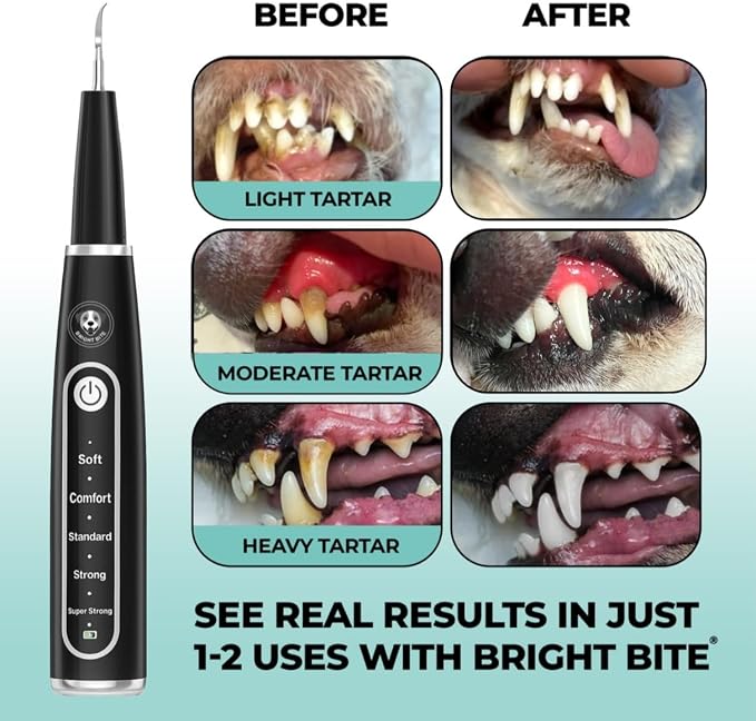 BRIGHT BITE™ | Ultrasonic Plaque Remover for Teeth | Dog Toothbrush; Cat Toothbrush | Quiet Tartar Remover | Dog Accessories | Teeth Cleaning Tools| Doggie Dental Scaler | Dental Tools | USB-C