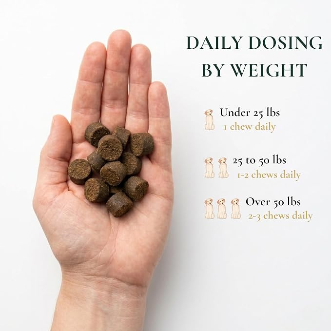 Dog Allergy Chews - 75mg Quercetin, Probiotics - 60 Soft Chews