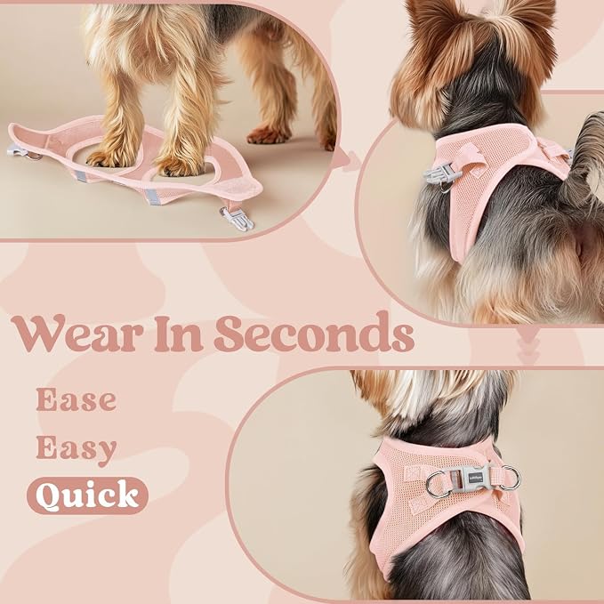 rabbitgoo Step-in Small Dog Harness, Puppy Vest for Small Sized Pet | Easy Put on and off, Lightweight, Soft, Breathable Quick-Dry Air Mesh for Comfortable Secure Walking, Pink XXS