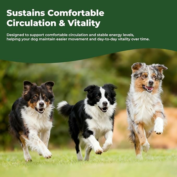 Young Heart for Dogs, Senior Cardiovascular Support, Taurine Drops