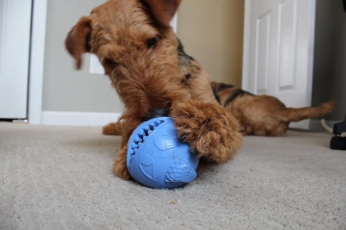Jolly Pets Monster Ball Bouncing Treat Dog Toy, 3.5 in, Blue | Bouncy treat-stuffable dog toy - fill with treats or peanut butter and freeze for a cool treat