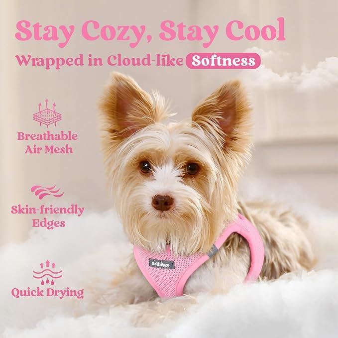 rabbitgoo Step-in Small Dog Harness, Puppy Vest for Small Sized Pet | Easy Put on and off, Lightweight, Soft, Breathable Quick-Dry Air Mesh for Comfortable Secure Walking, Light Pink M