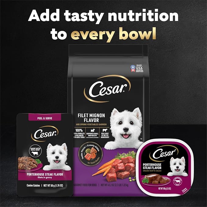 Cesar Filets in Gravy Wet Dog Food, Porterhouse Steak Flavor, 1.76 oz. Mini-Pouch, 20 Count