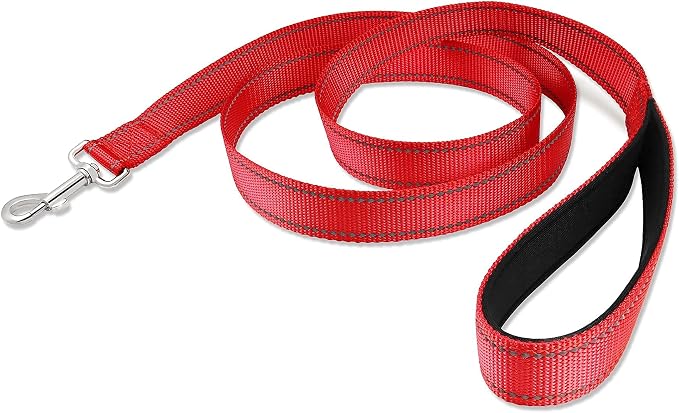 Joytale Red Striped 5FT Dog Leash and Collar with Reflective Threads, Nylon Dog Collars and Leashes for Small Dogs