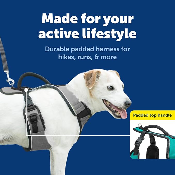 PetSafe EasySport Dog Harness, Charcoal Gray, Small | Padded, Elastic Neckline Harness for Active Dogs, Reflective Piping for Visibility, Top Control Handle, Rear Leash Clip