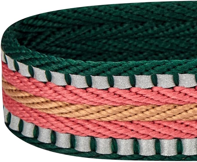 Blueberry Pet Dog Leash & Puppy Essentials: 3M Reflective Multi-Colored Stripe Adjustable Dog Seat Belt for Car, Safety Tether for Dogs, Dark Green/Pink, 1" Width, 16.5"-25.5" Length