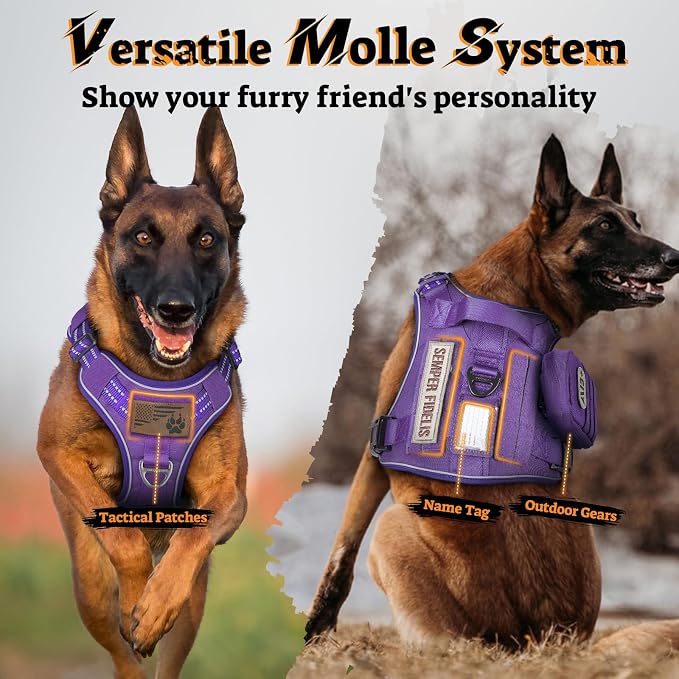 rabbitgoo Tactical Dog Harness for Large Dogs, No Pull Service Pet Vest | Military Molle System & Easy Control Handle, Adjustable and Reflective for Walking and Training, Purple, Large