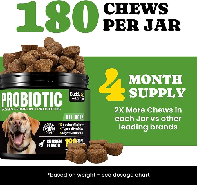 Digestive & Skin Support Chews + Dental Care Powder - Probiotics with Enzymes for Gut Comfort & Itch Ease, Tartar Control & Fresh Breath for Dogs & Cats - 180 Chews + 150g Powder