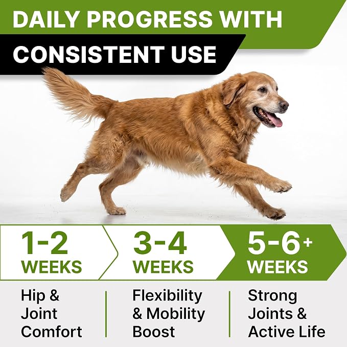 Glucosamine Treats for Dogs - Joint Supplement w/Omega-3 Fish Oil - Chondroitin, MSM - Advanced Mobility Chews - Joint Pain Relief - Hip & Joint Care - Chicken Flavor - 120 Ct - Made in USA