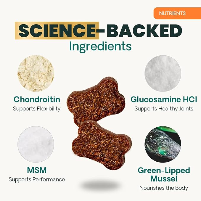 VetriScience Extra Strength Healthy Hip&Joint Chews,GlycoFlex 3,Glucosamine,Green-Lipped Mussel,Joint Support Supplement for Dogs,Promote Mobility&Soothe-Joint Discomfort,Chicken,120 Count (Pack of 2)